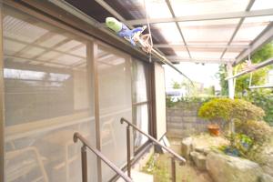 AKARIYA別館 ~横山邸~