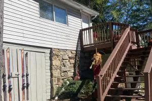 Alpine Dreams - Laughlintown