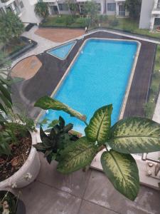 Tom appartment gym and pool free, Hue