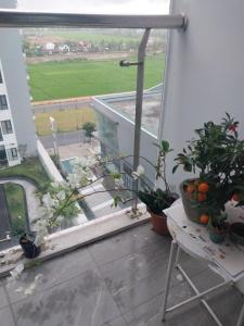 Tom appartment gym and pool free, Hue