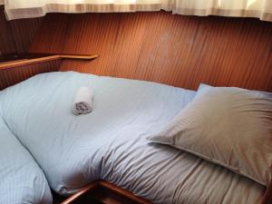 Motor Yacht Amstelle