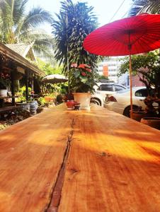 Panda House Chiang Mai