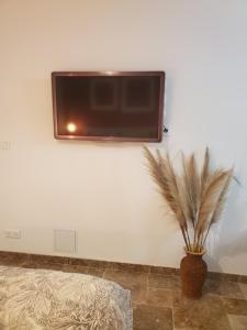 Maisons de vacances Harmonie : photos des chambres