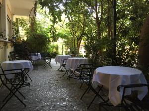 Rex Hotel - Bebekas