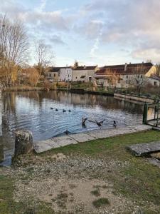 Maisons de vacances Au pied du vignoble Champenois : photos des chambres