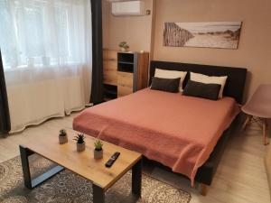 Апартаменты в центре Ужгорода СКАЛА