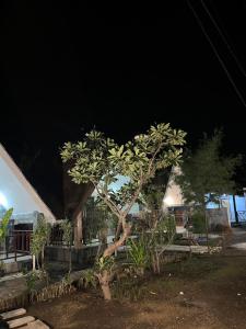 Meno Melani guesthouse