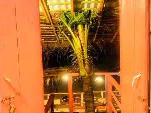 Amaranthe Beach Cabanas