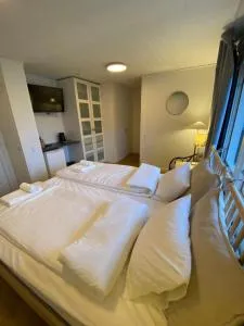 SIGTUNA STUDIO - Krusenberg