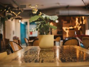 Auberges de jeunesse Le Flaneur Guesthouse : photos des chambres