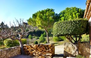 Maisons de vacances Mas De Baubesse : photos des chambres