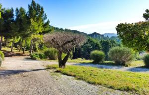 Maisons de vacances Mas De Baubesse : photos des chambres