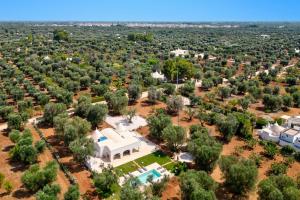 Villa Archi by Villa Plus