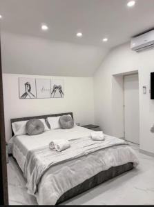 Appartement 1 Chambre