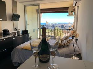 BAGATELLE NATURISTE HELIOPOLIS clim ascenseur vue mer parking privé