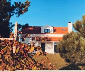 45 Pines West - A do Longo