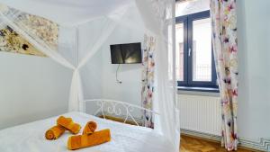 2 Bedroom OldTown Mountain View Apartment with private terrace and high ceilings rooms