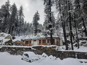 Vansh Green View Homestay - Shangarh