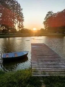 Domek nad stawem - Płoty