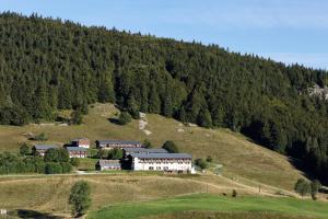 Accommodation in Bois d'Amont