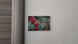 Sa Mama 'e Su Sole img37