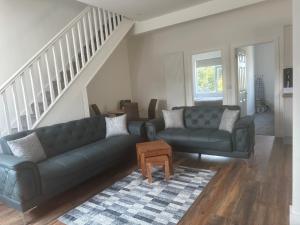 Modern design residence