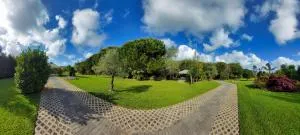 Quinta do Mateus - Angeja