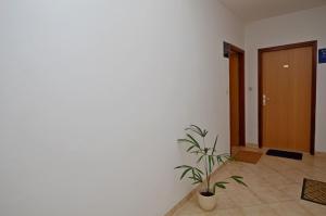 Apartment Vedrana