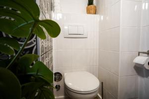 Suite Katharina
