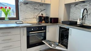 Busteni Mountain View Suites by the River - EV Plug