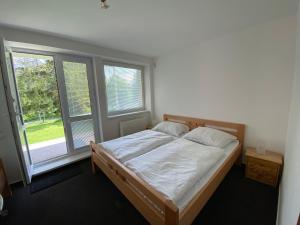 Apartman A1 Golem