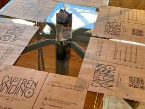 Cabañas Captren Andino