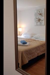 Apartments with parking space Prozura, Mljet - 22331