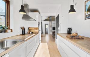 Nice Home In Jægerspris With Kitchen
