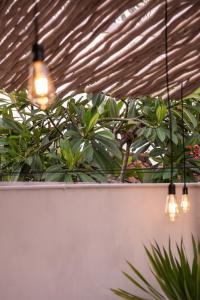 Villa Lotus - 1BR Canggu Villa with private pool - Near Wanderlust, Soma and BaliMMA