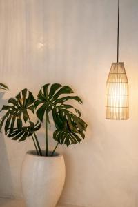 Villa Lotus - 1BR Canggu Villa with private pool - Near Wanderlust, Soma and BaliMMA