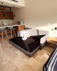Loft, gym, pool, internet zama