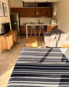 Loft, gym, pool, internet zama