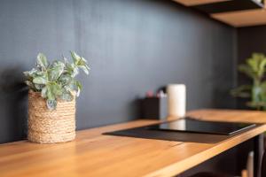 Tree Top Views - Magnificent 4 Bedroom House - 3 Minutes to MONA