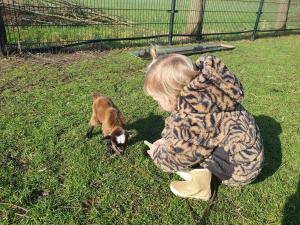Guesthouse De Bongerd Overberg, The Orchard