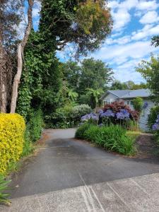 Papa's place - 3hvězdičkové hotely ve městě New Plymouth