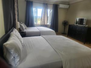 Beautiful Battersea Lodge