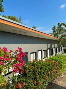 Samui Backpacker Hotel