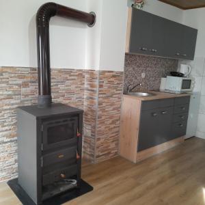 Apartman 1 RIBIČ 