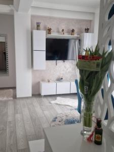 Apartament Rezidențial