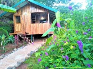 Jolie petite maison calme - Nandayure