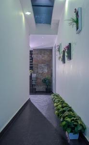 Raaha Residency