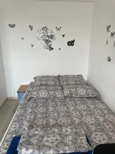 Studio Ianis - Colentina