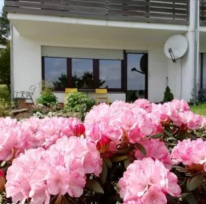 Fewo Silberborn - Weserbergland (Fam. Oehler) - Hellental