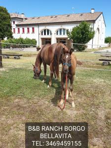 Ranch borgo bella vita